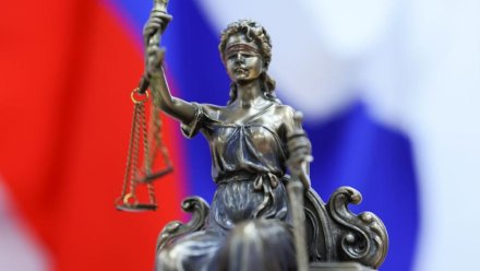 Опасения жителей Ялты по поводу вырубки деревьев на Поликуровском холме