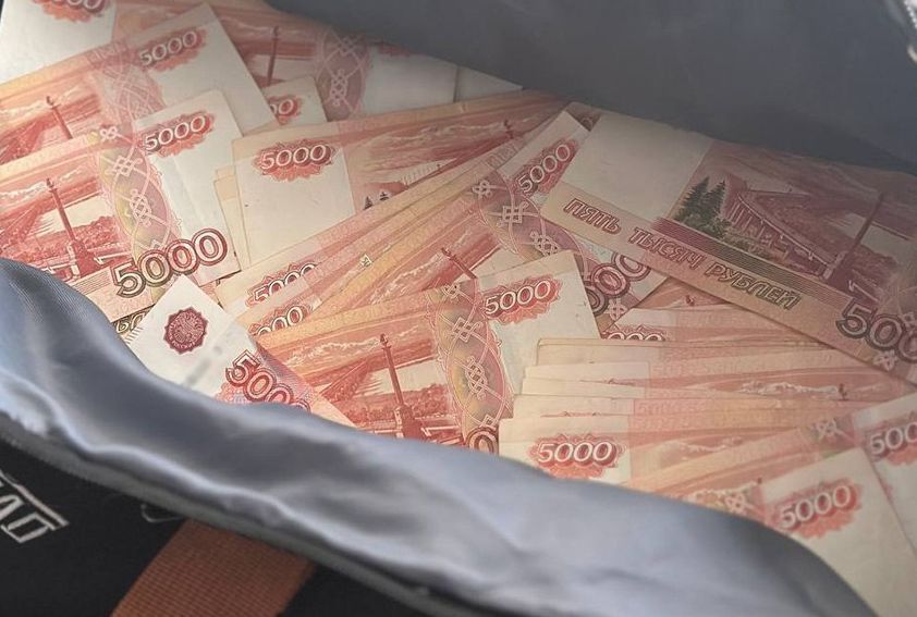 Донское предприятие выплатило более 950 миллионов рублей долга по налогам