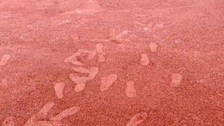 Вандалы нанесли ущерб новой спортивной площадке в Керчи