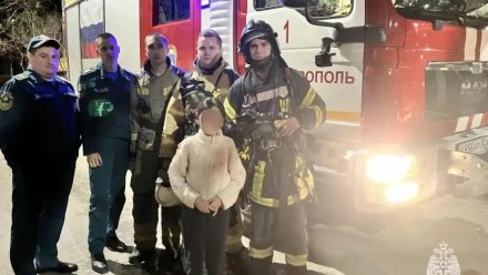 В Крыму ребенок случайно вызвал пожар, пытаясь приготовить десерт