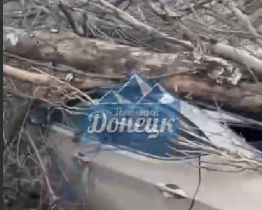 Дерево обрушилось на автомобили: семья потеряла два транспортных средства