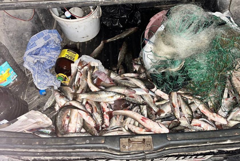 Незаконный вылов рыбы в национальном парке «Меотида» привел к уголовному делу