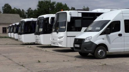 Новый Автобусный Маршрут Геническ – Краснодар: Удобный Способ до Аэропорта