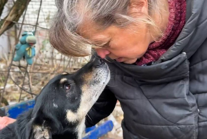 Нора: Собака-сигналист, спасающая жителей Авдеевки