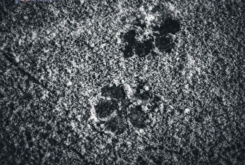 В ДНР ожидается резкое похолодание и снегопад