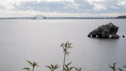 Туристический поток в Крым вырос на 15% – почти 7 миллионов отдыхающих с начала года