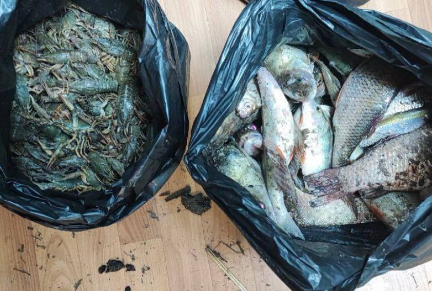 Крупный браконьерский инцидент на реке Крынка: ущерб превысил 100 тысяч рублей