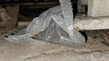 В Крыму изъяли крупную партию каннабиса у местного жителя