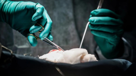 Более 17 тысяч крымчан получили высокотехнологичную медицинскую помощь в прошлом году