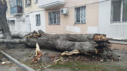 В Феодосии ликвидируют последствия сильного дождя и ветра