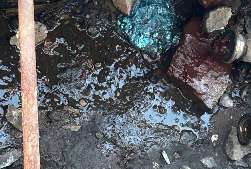 В России одобрили использование искусственного интеллекта в судебной практике