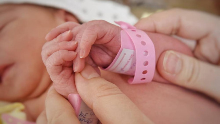 В Крыму отметили День многодетной семьи: 12 семей стали еще больше