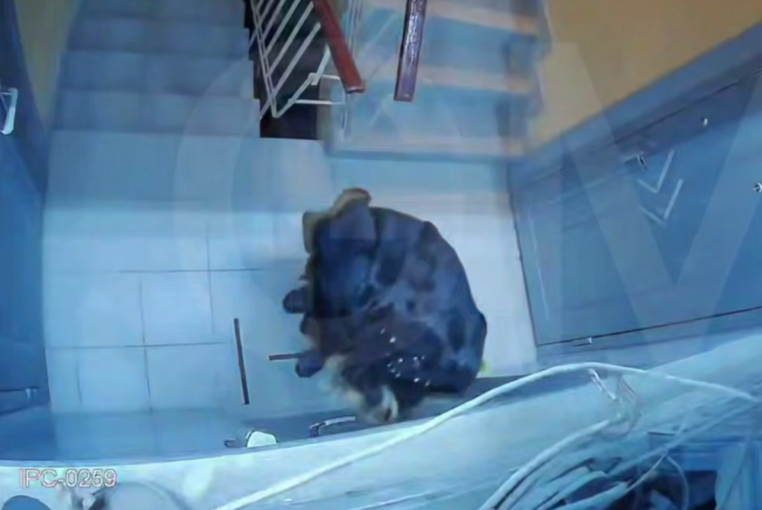 Неуравновешенная жительница в донецкой многоэтажке вызывает опасения